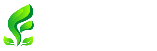 枫林长空-Acg次元小屋