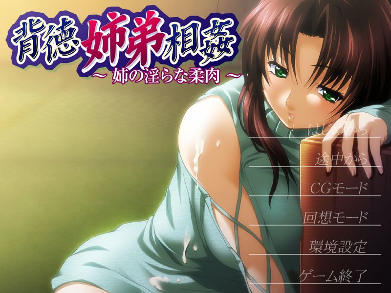 [ADV] [ADV/汉化]背德姐弟相奸～姐姐的淫荡柔肉～AI汉化版+全CG存档[自建/110M/Pikpak盘]